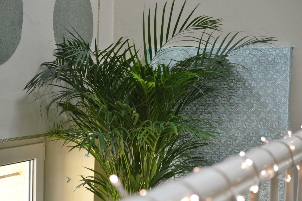 Aloes Studio Krakow Bagian luar foto